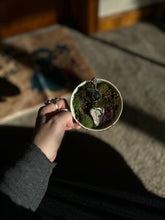 Load image into Gallery viewer, Earthbound Echo Pendant